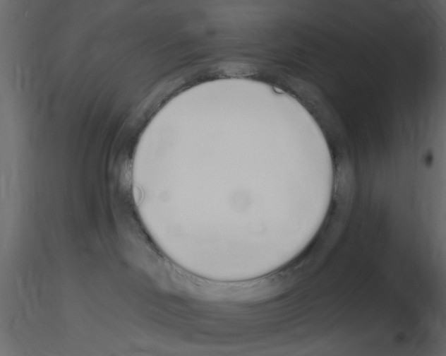 X0000115710046200912241553