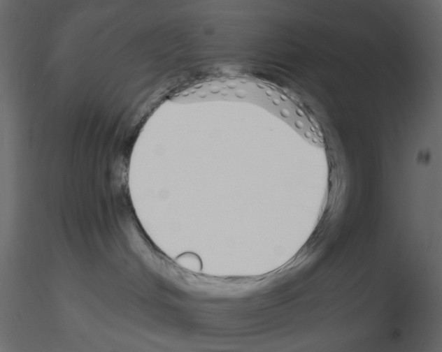 X0000115710048200912241553