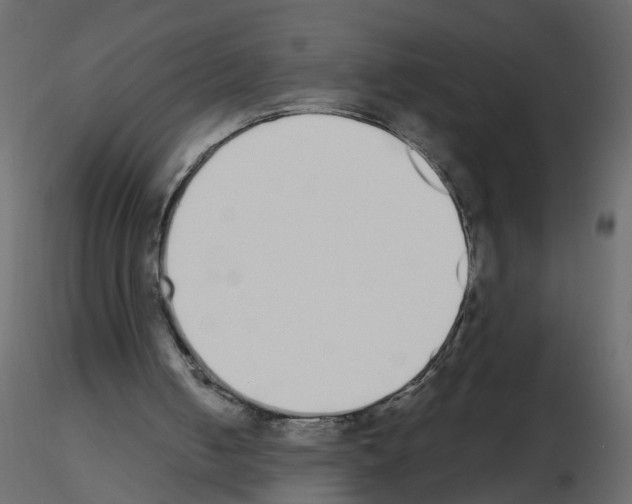 X0000115710050200912241552