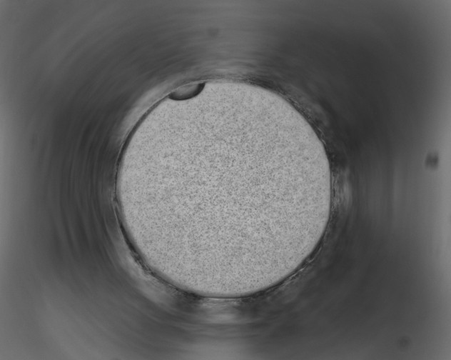 X0000115710051200912241552