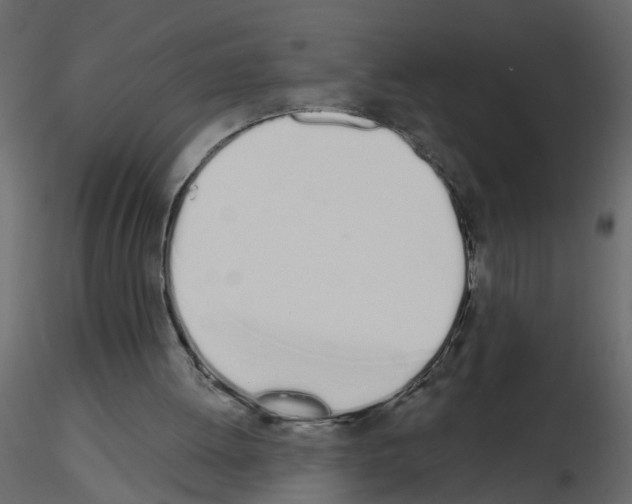 X0000115710052200912241552