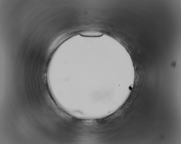 X0000115710053200912241552