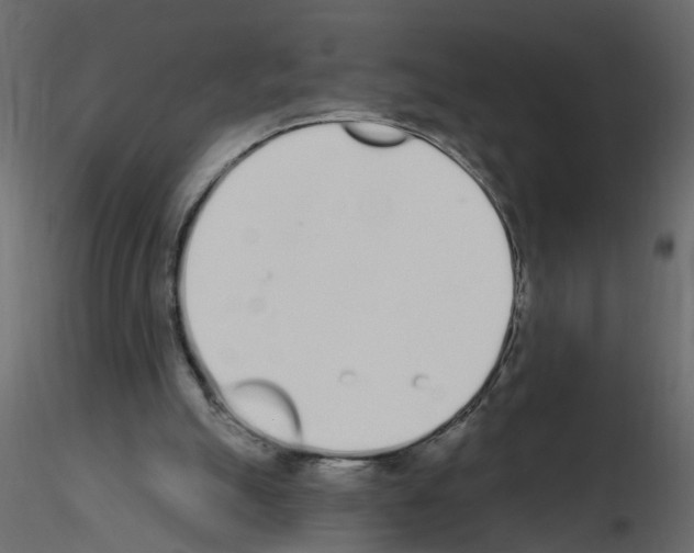 X0000115710055200912241552