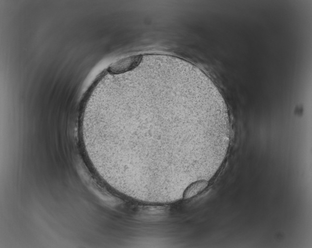 X0000115710056200912241552