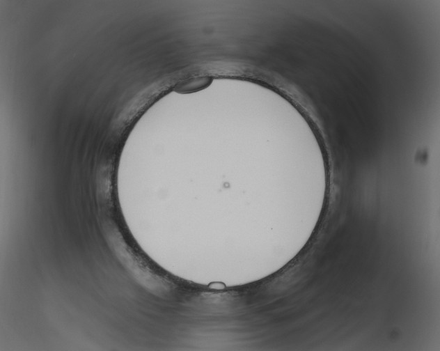 X0000115710057200912241552