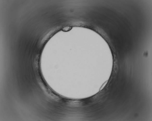 X0000115710058200912241552