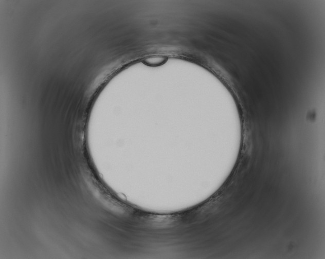 X0000115710059200912241552