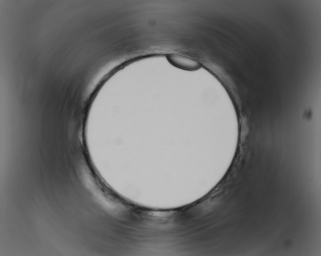 X0000115710060200912241552