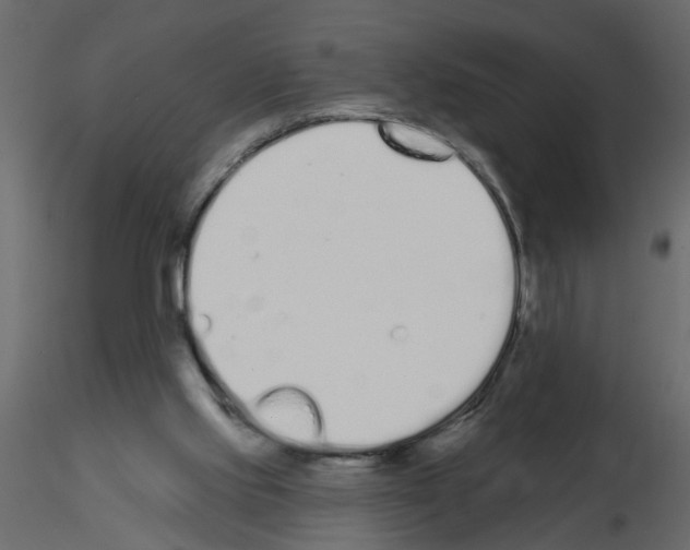 X0000115710061200912241552