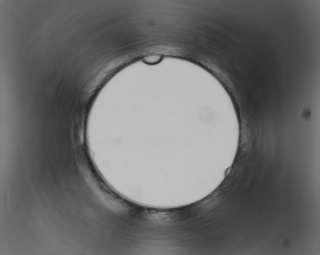 X0000115710062200912241552