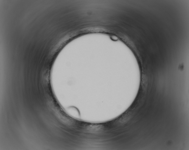 X0000115710063200912241552