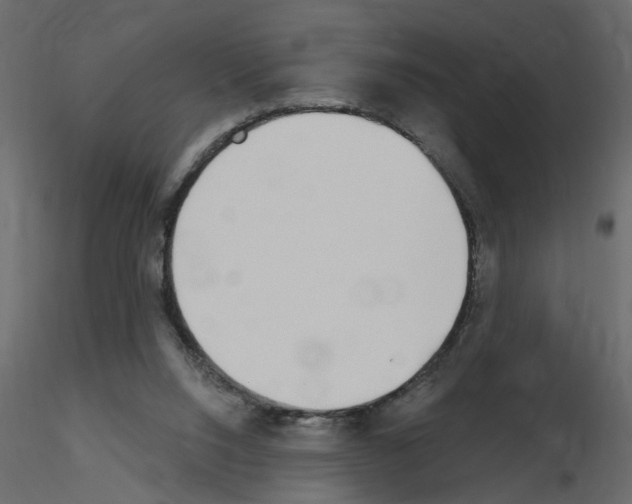 X0000115710064200912241552