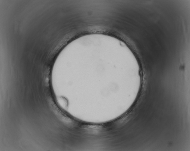 X0000115710065200912241552