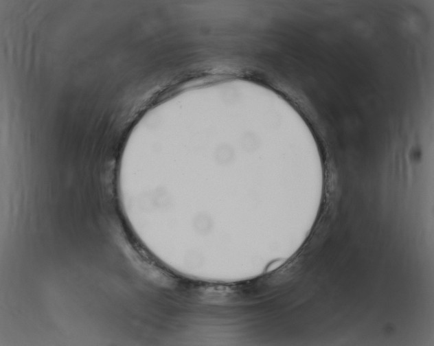 X0000115710066200912241552