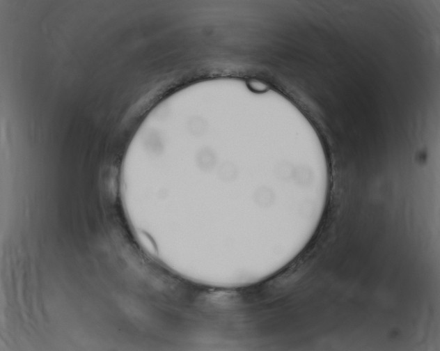 X0000115710067200912241552