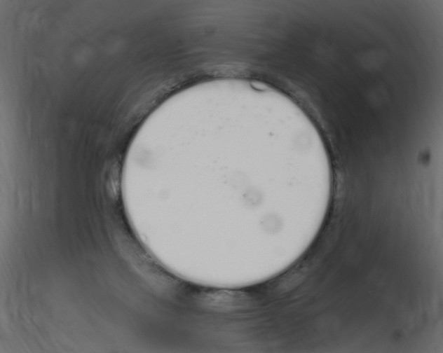 X0000115710069200912241552