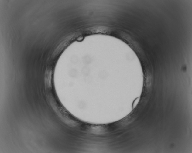 X0000115710070200912241553