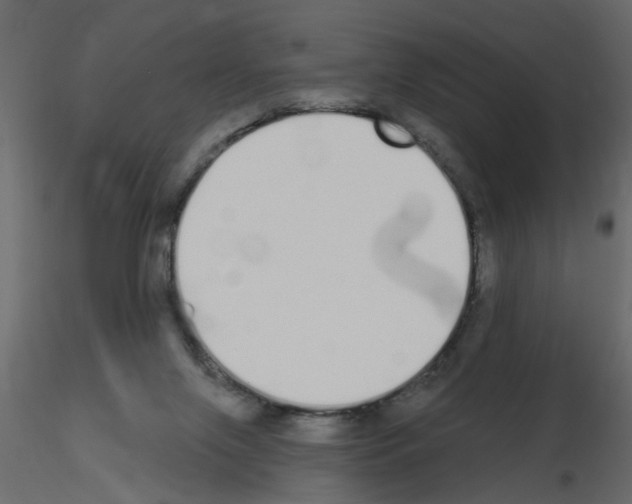 X0000115710071200912241553