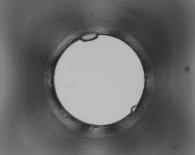 X0000115710072200912241553