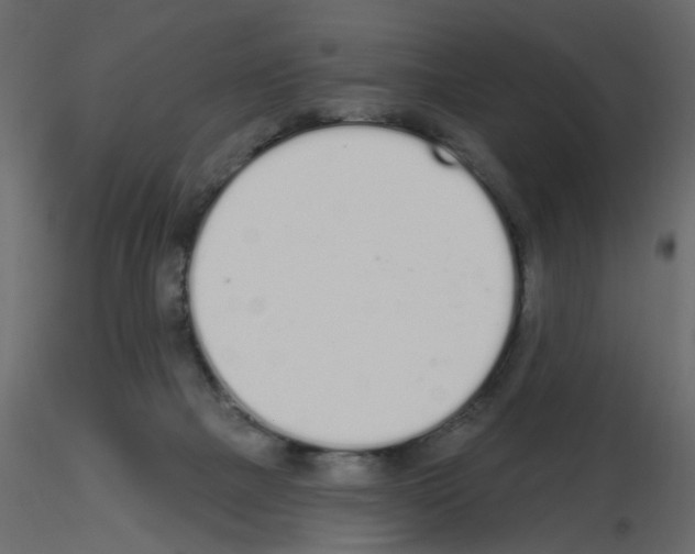 X0000115710073200912241553