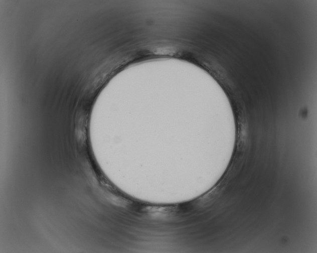 X0000115710074200912241553