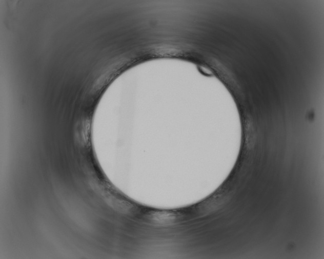 X0000115710075200912241553