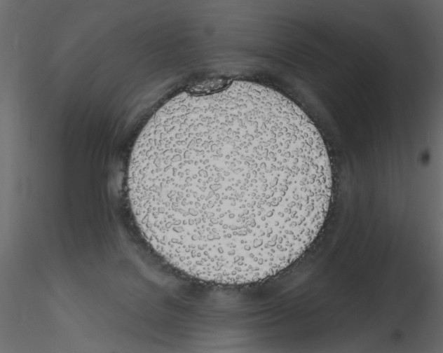 X0000115710076200912241553