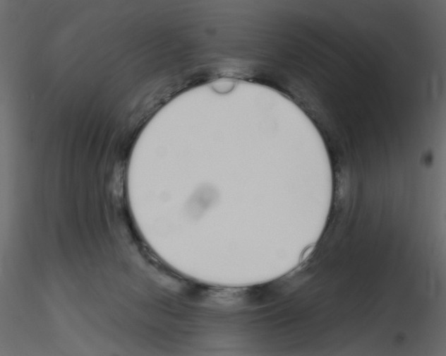 X0000115710078200912241553