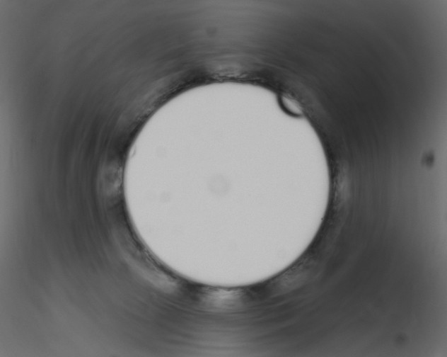 X0000115710081200912241553