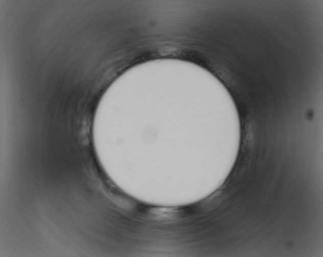 X0000115710082200912241553