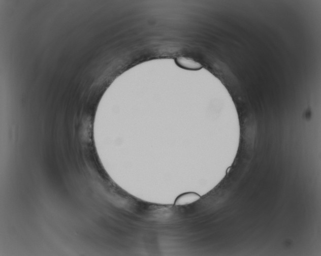 X0000115710083200912241553