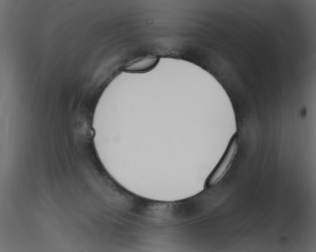 X0000115710084200912241553