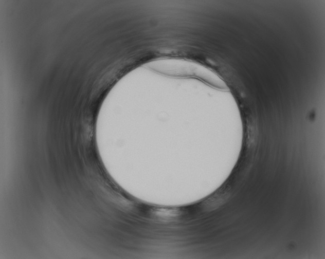 X0000115710085200912241553