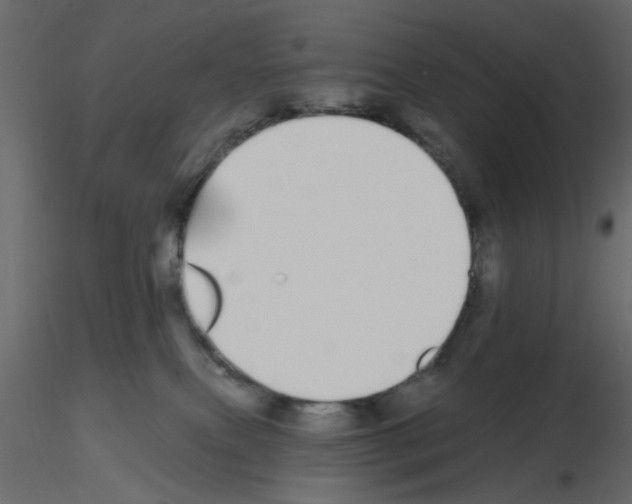 X0000115710087200912241553