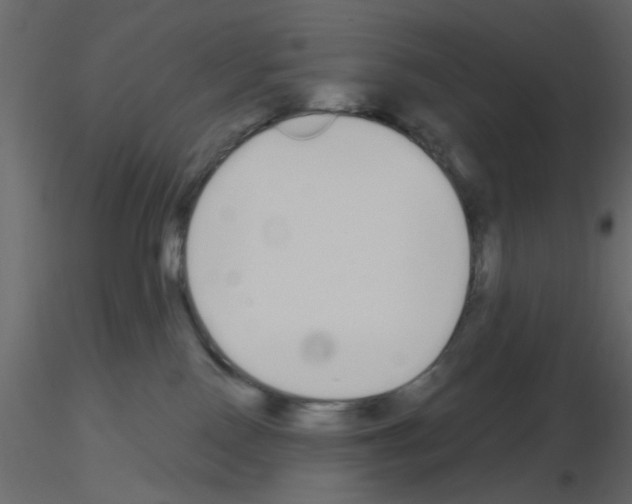 X0000115710090200912241553