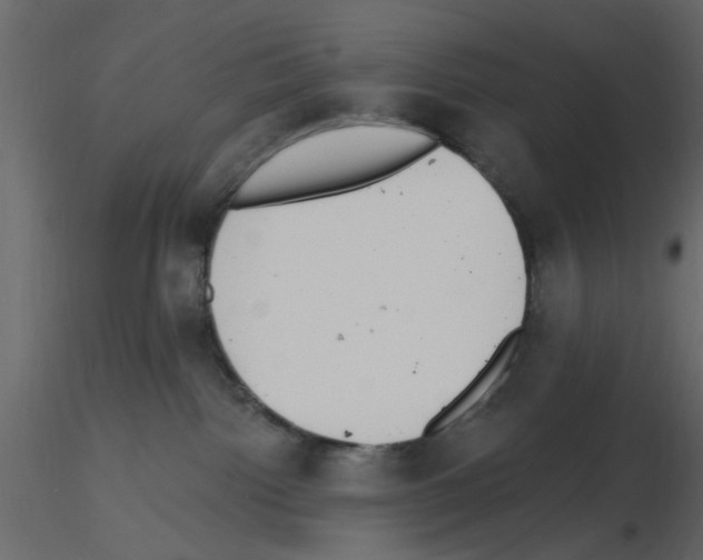 X0000115710092200912241553