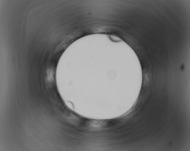 X0000115710094200912241553