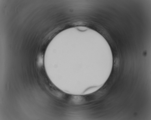 X0000115710095200912241553