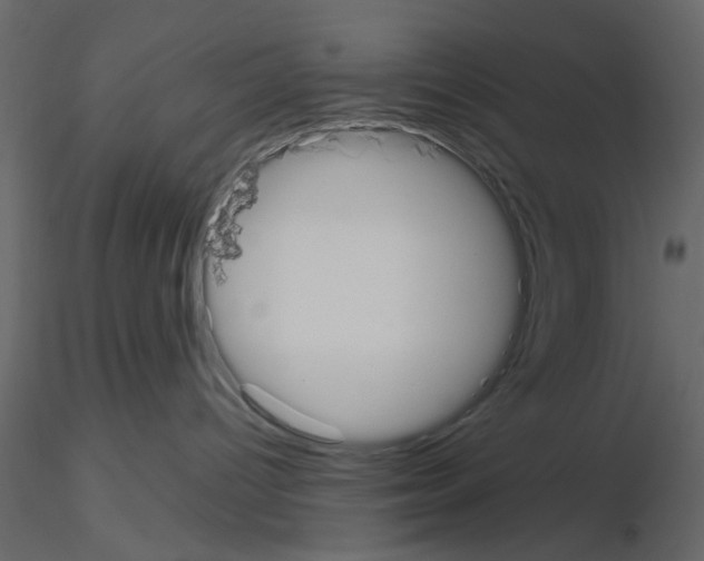 X0000115710096200912241553