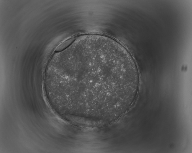 X0000115710097200912241552