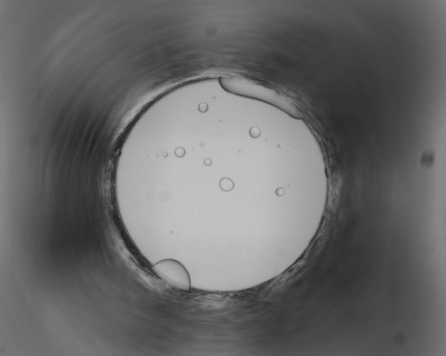 X0000115710098200912241552