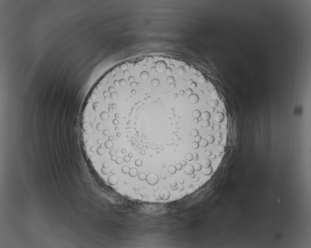 X0000115710099200912241552