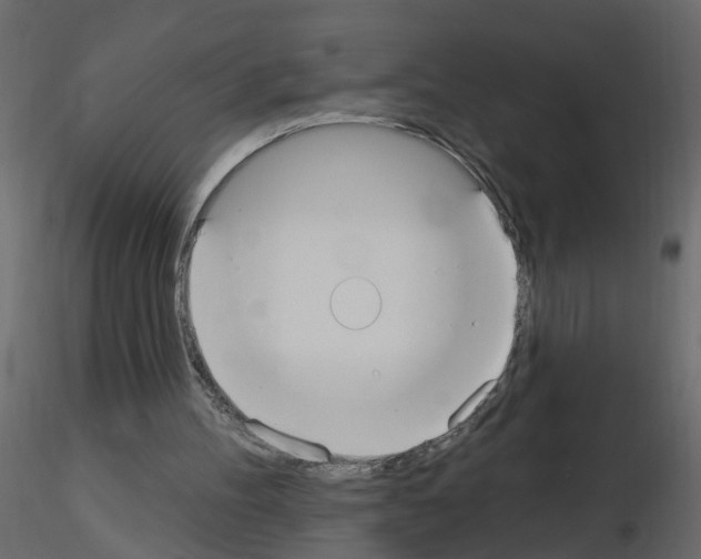 X0000115710100200912241552