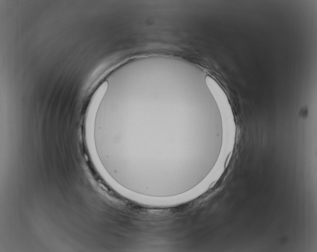 X0000115710101200912241552