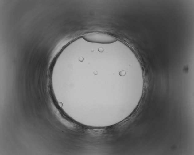 X0000115710102200912241552