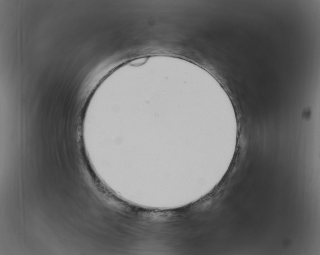 X0000115710103200912241552