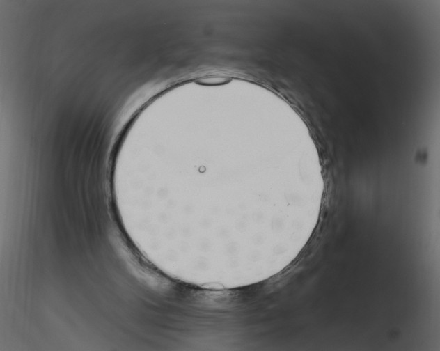 X0000115710104200912241552