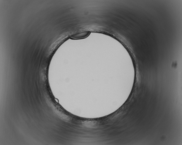 X0000115710105200912241552