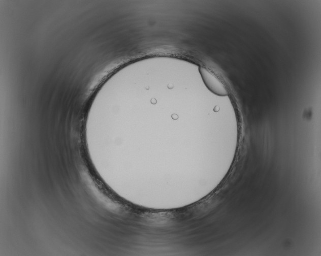 X0000115710106200912241552