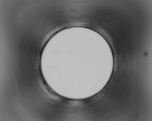 X0000115710107200912241552